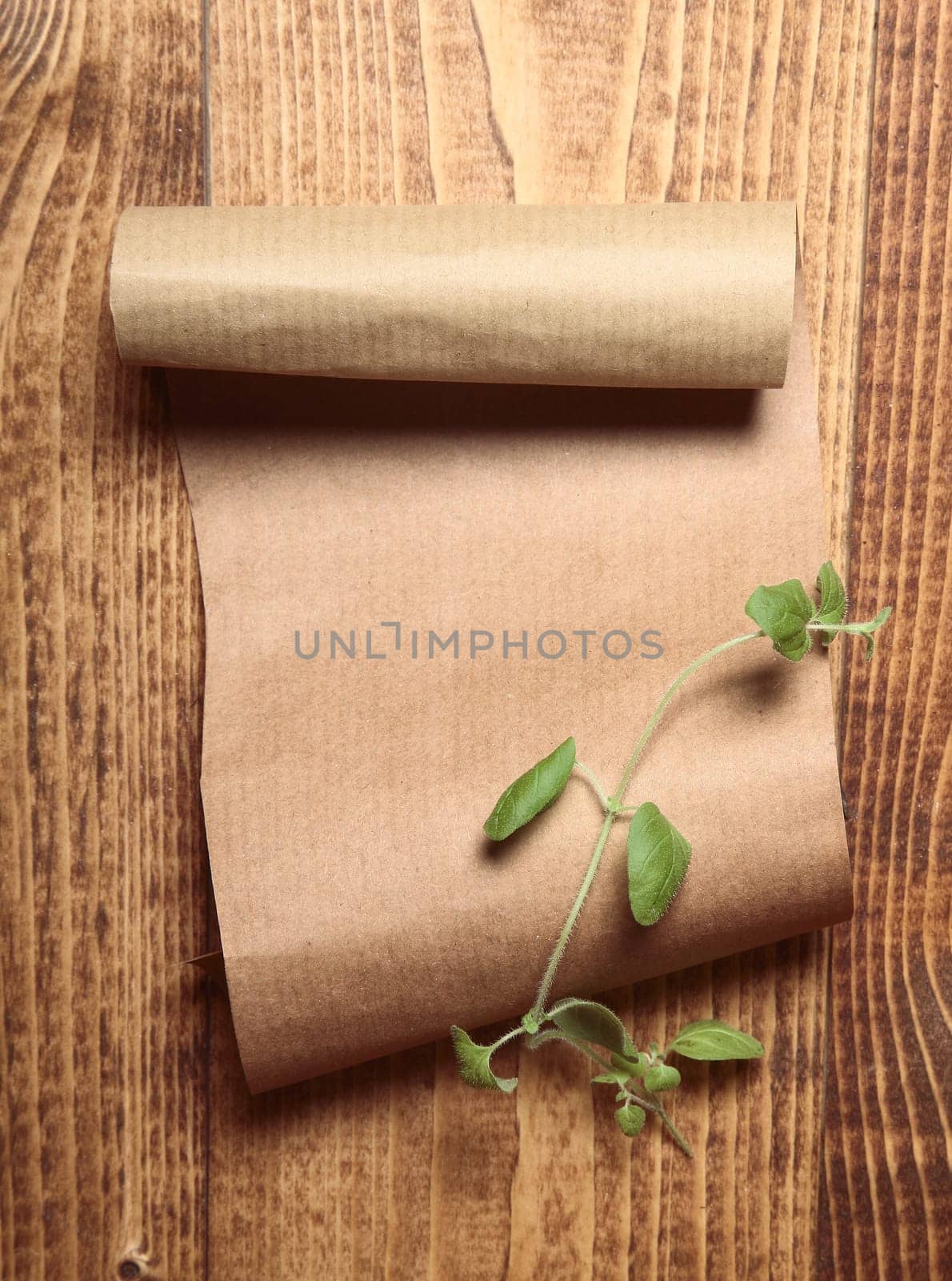 Brown paper on wooden surface and a sprig of green