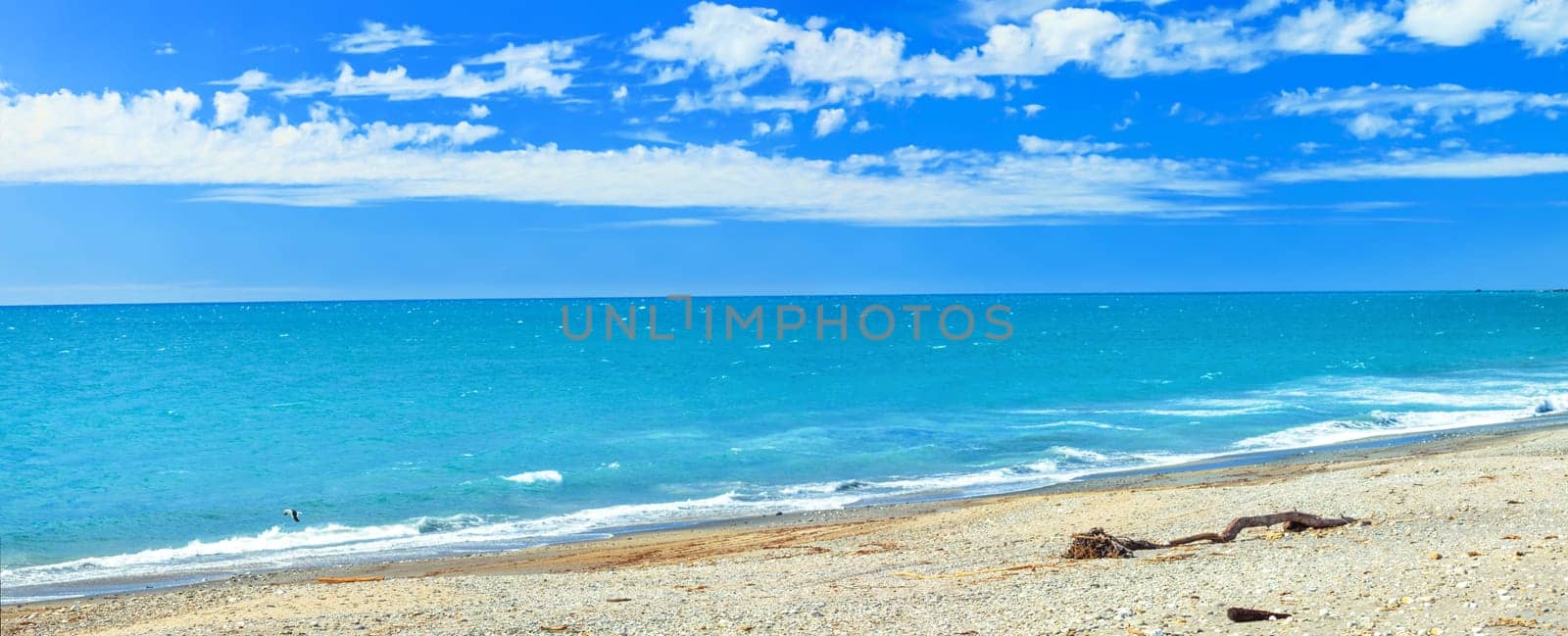 Panorama of the Tasman sea coastline