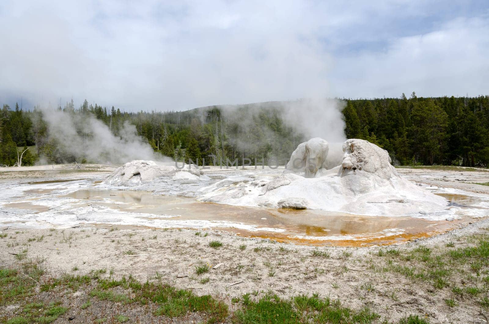 geyser in Yellowstone National Park in Wyoming