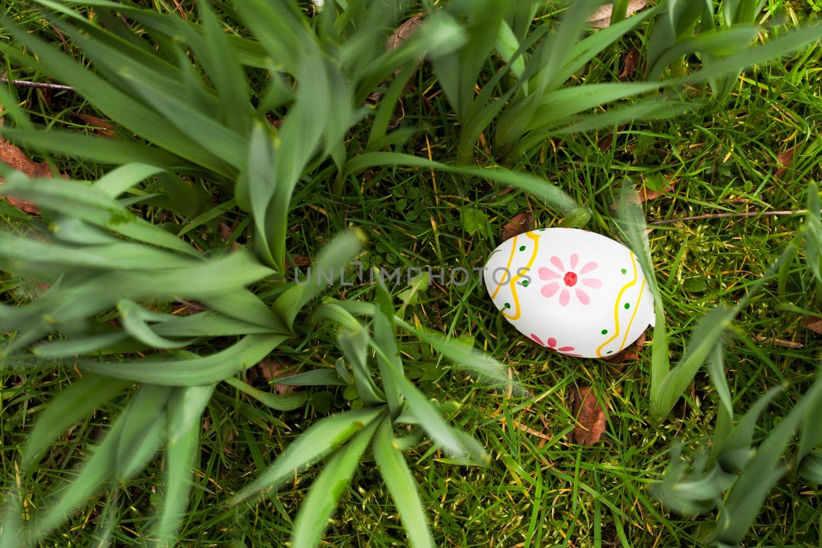 Painted Easter egg hidden in the grass and bulbs.