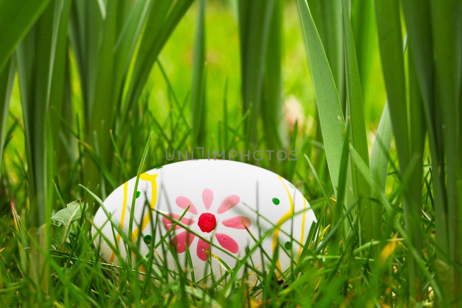 Painted Easter egg hidden in the grass and bulbs.