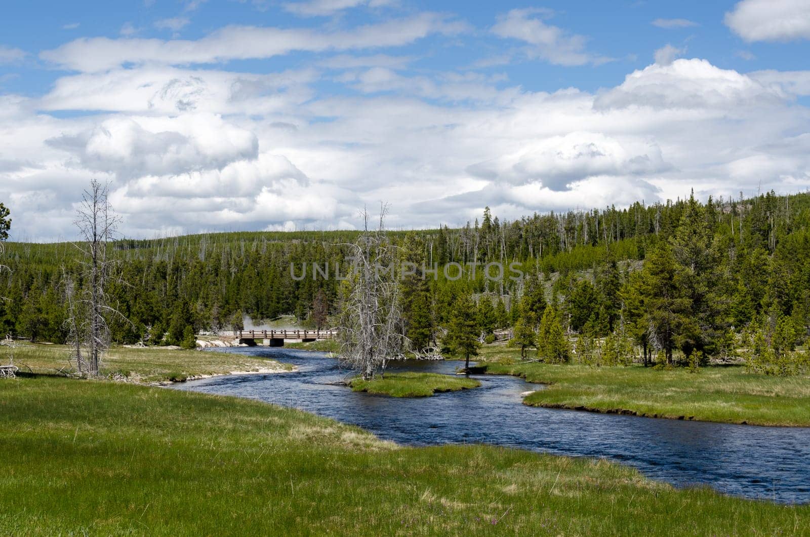 River in Yellowstone National Park in Wyoming in the United States of America