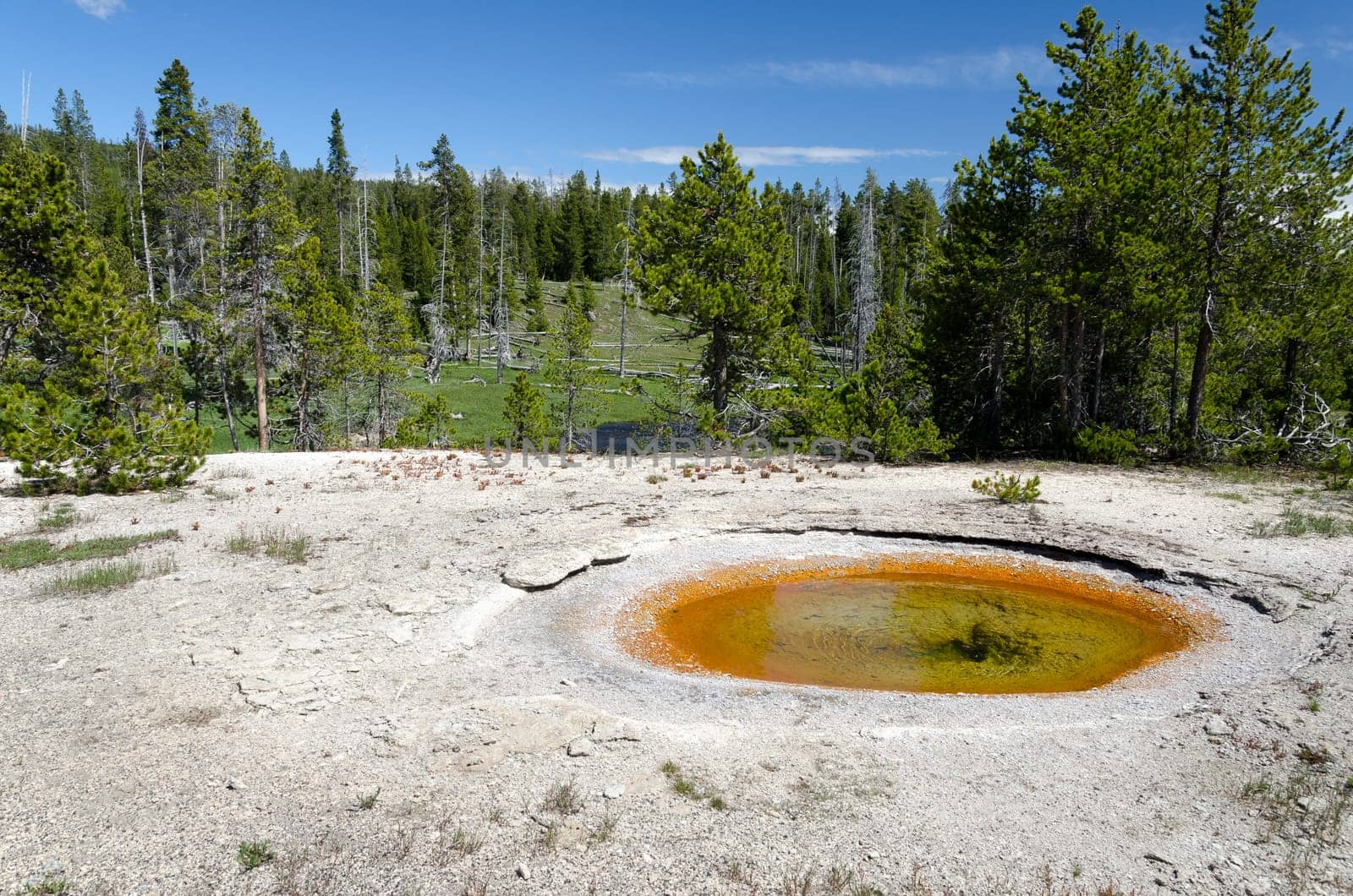 geyser in Yellowstone National Park in Wyoming in the United States of America