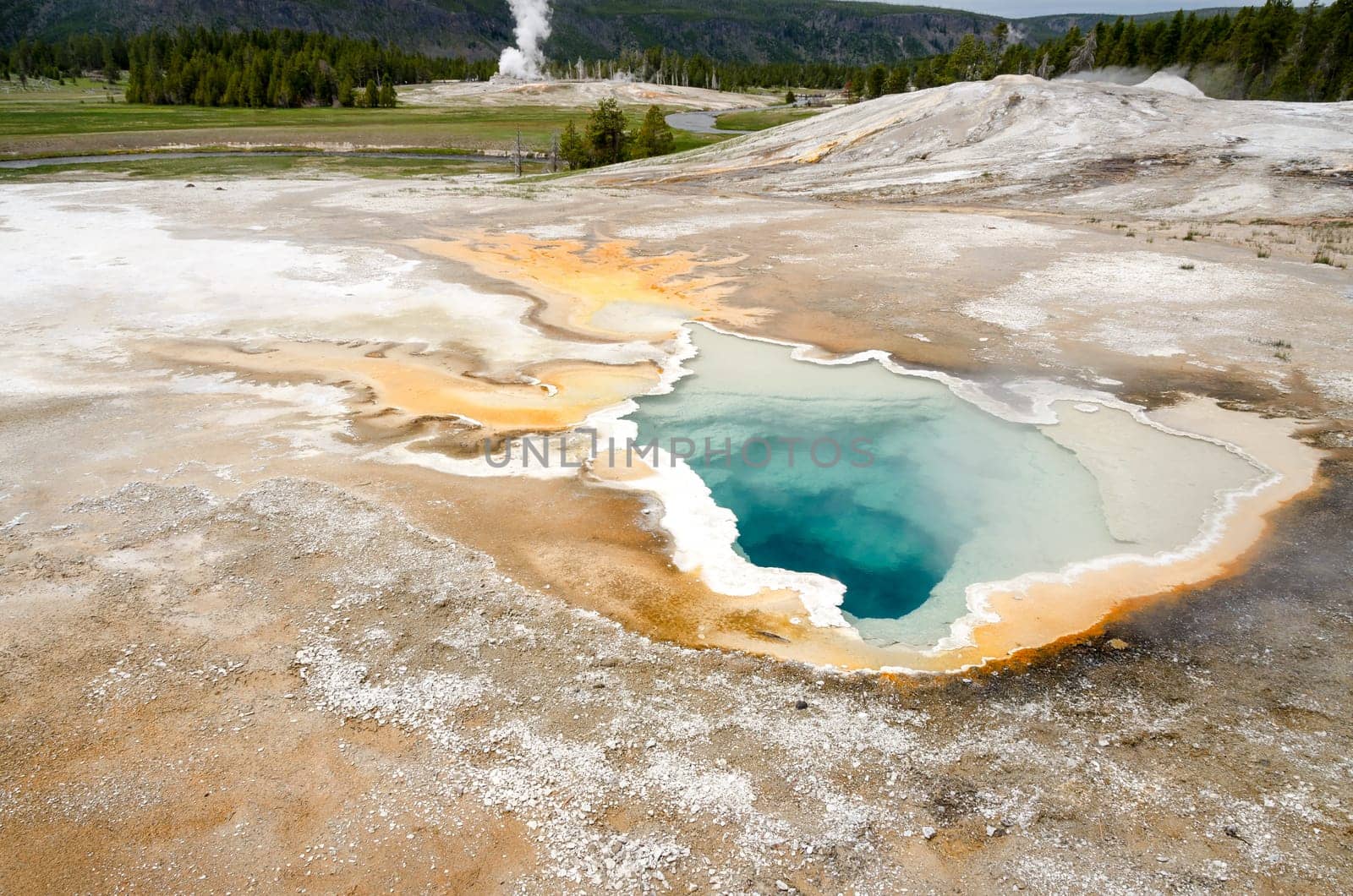 geyser in Yellowstone National Park in Wyoming in the United States of America