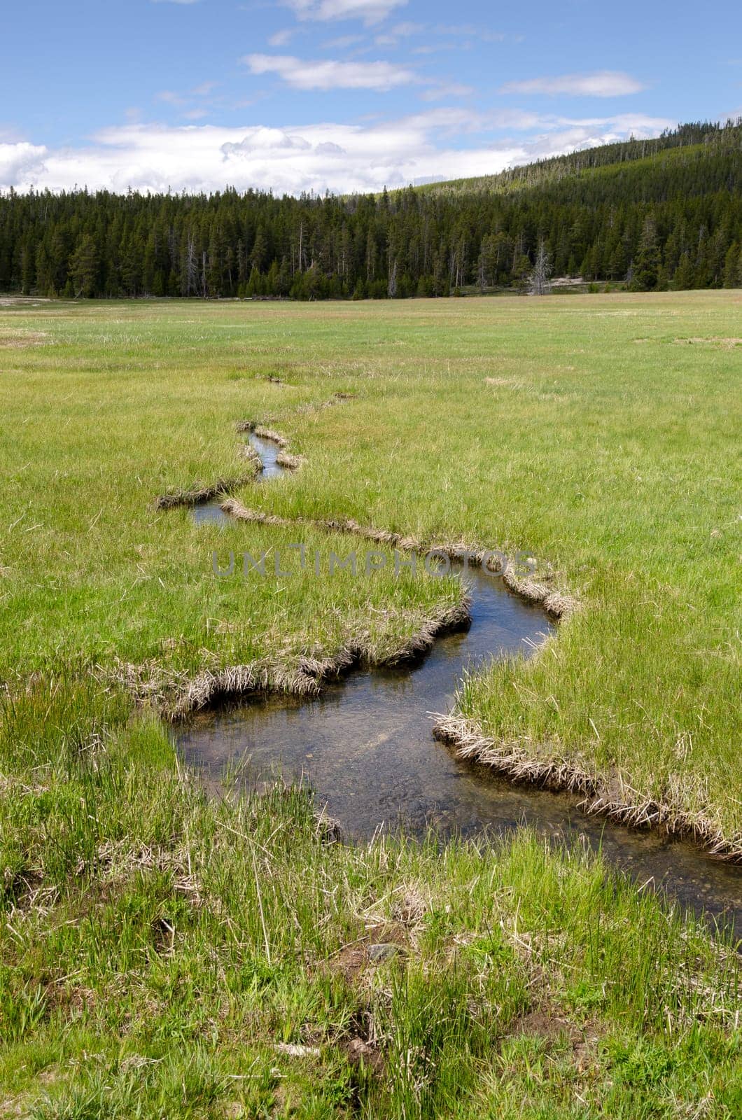 River in Yellowstone National Park in Wyoming in the United States of America