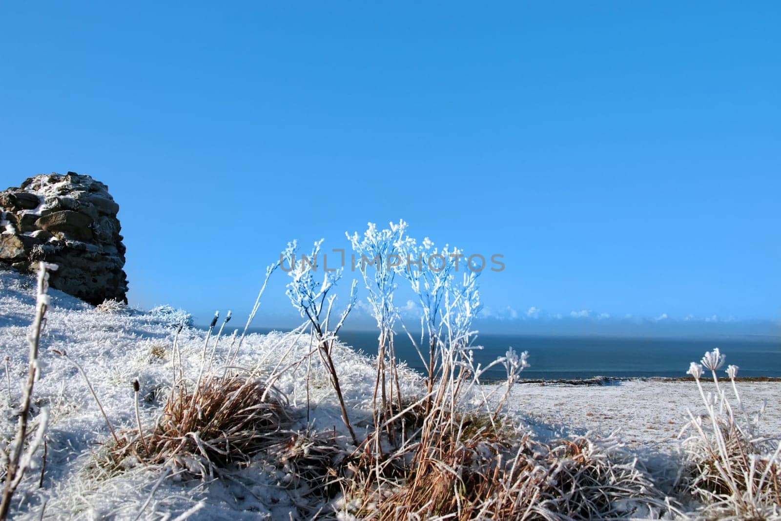 a seasonal crisp snow frosty covered grass ditch with a frozen weed plants