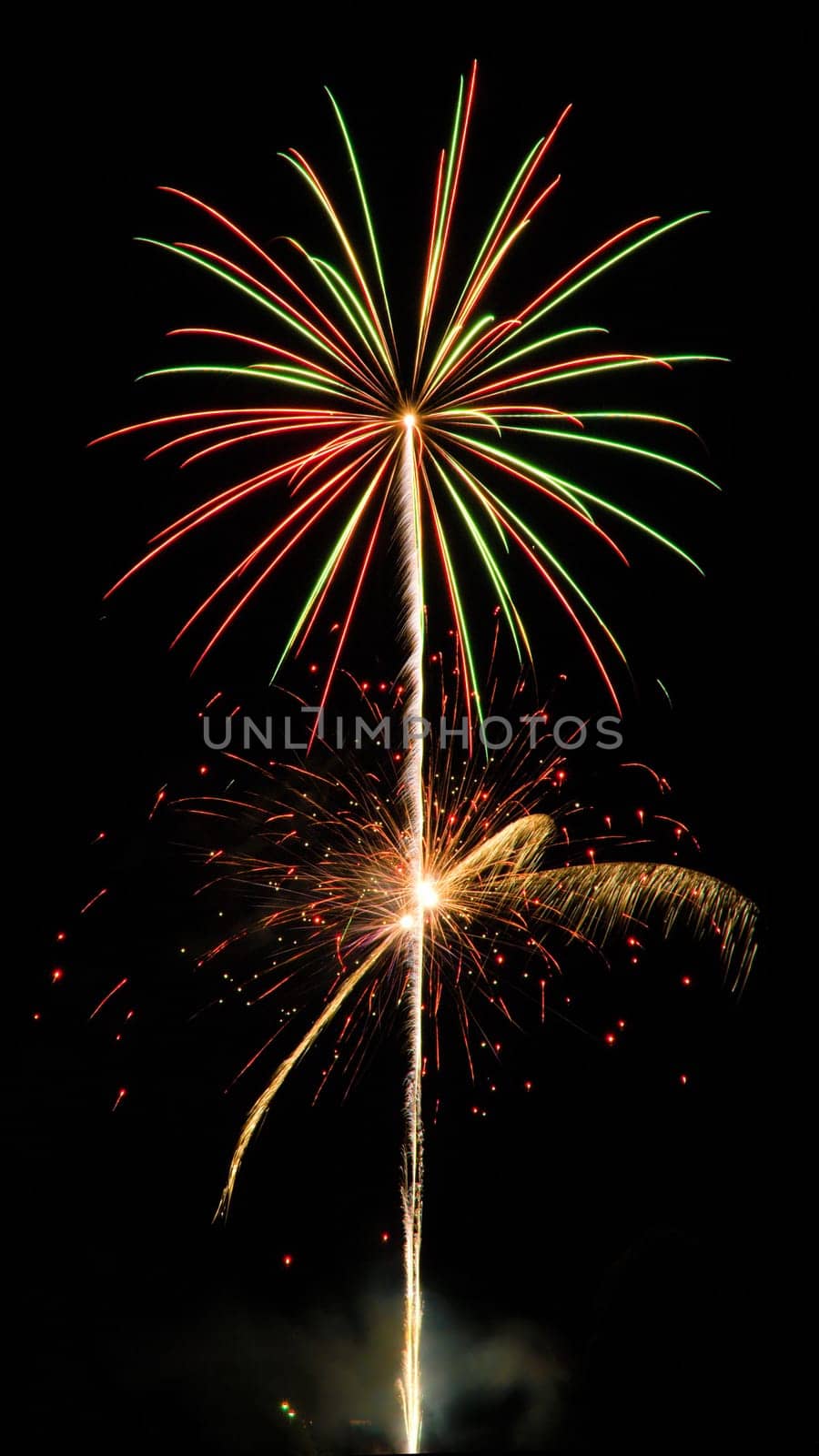 Exploding fireworks in the night's sky