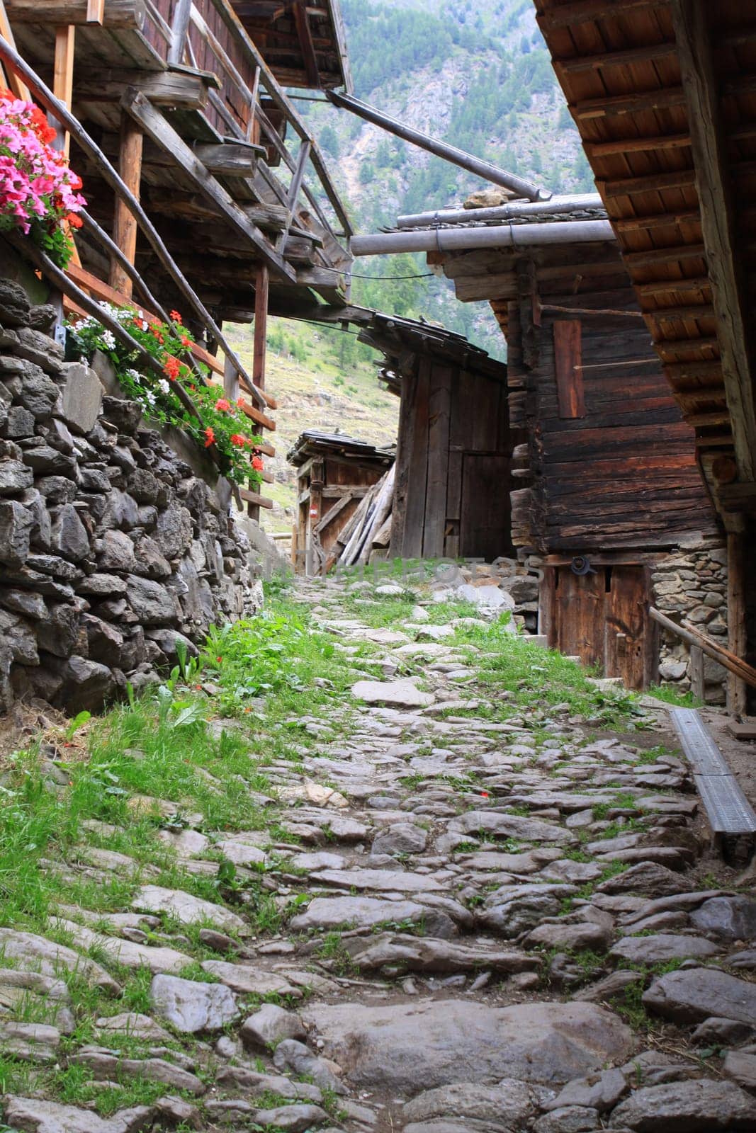 On the Merano High Trail in South Tyrol