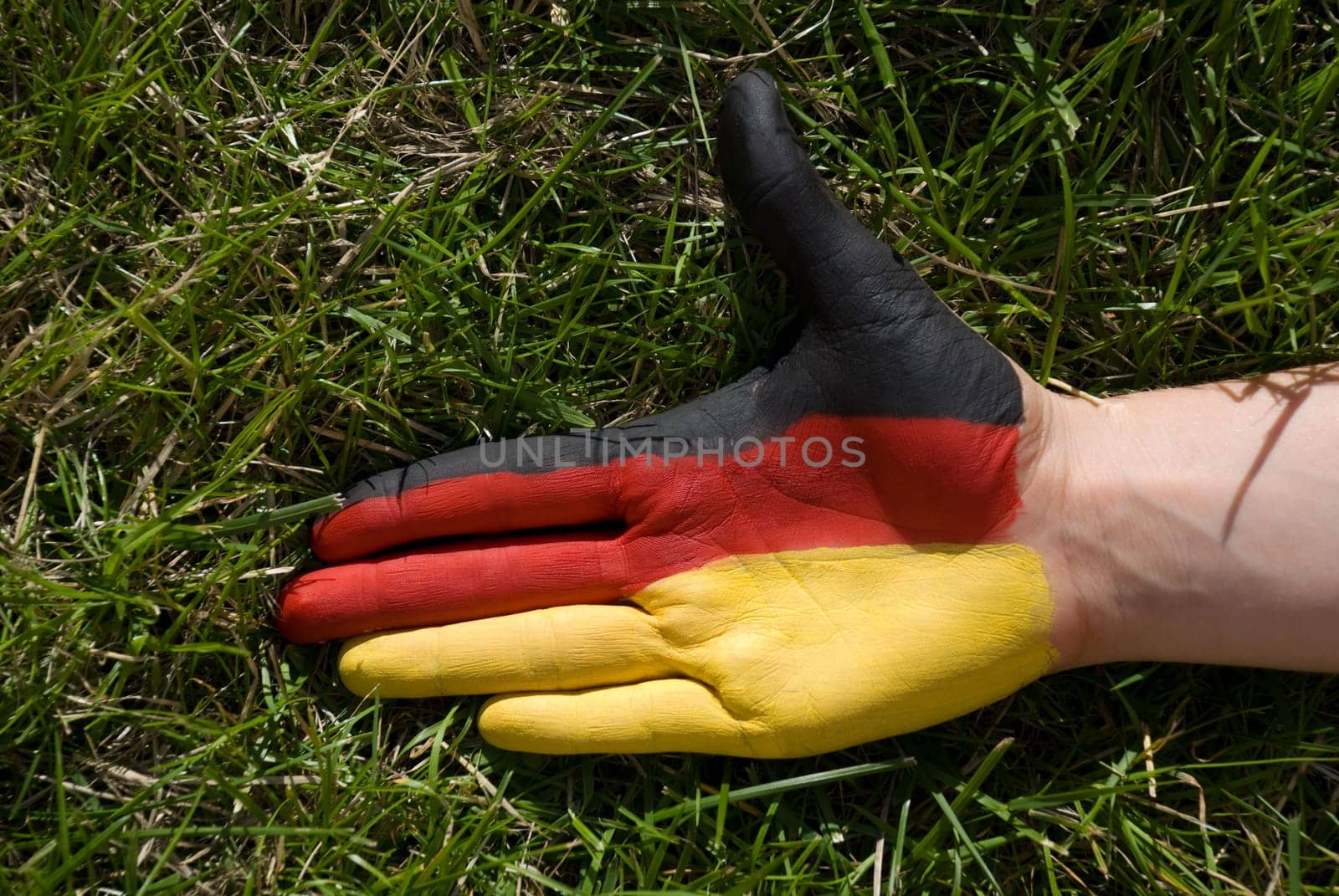 a hand with red, black and golden stripes on it, lying in the gras