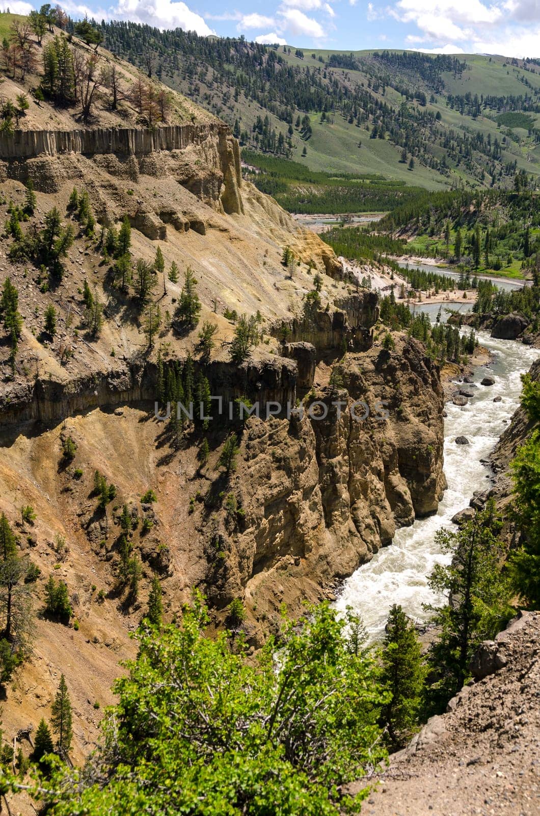 canyon near the Yellowstone Falls in Yellowstone National Park in Wyoming in the United States of America