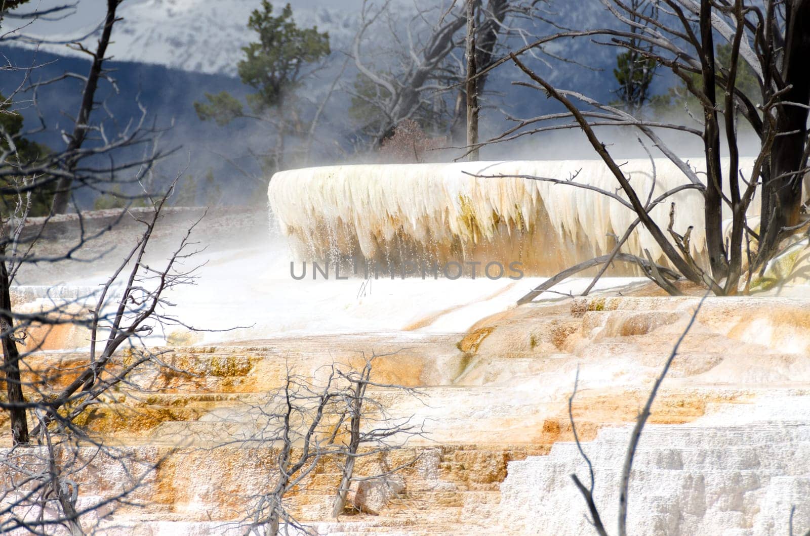 Mammoth Hot Springs in Yellowstone National Park in Wyoming in the United States of America