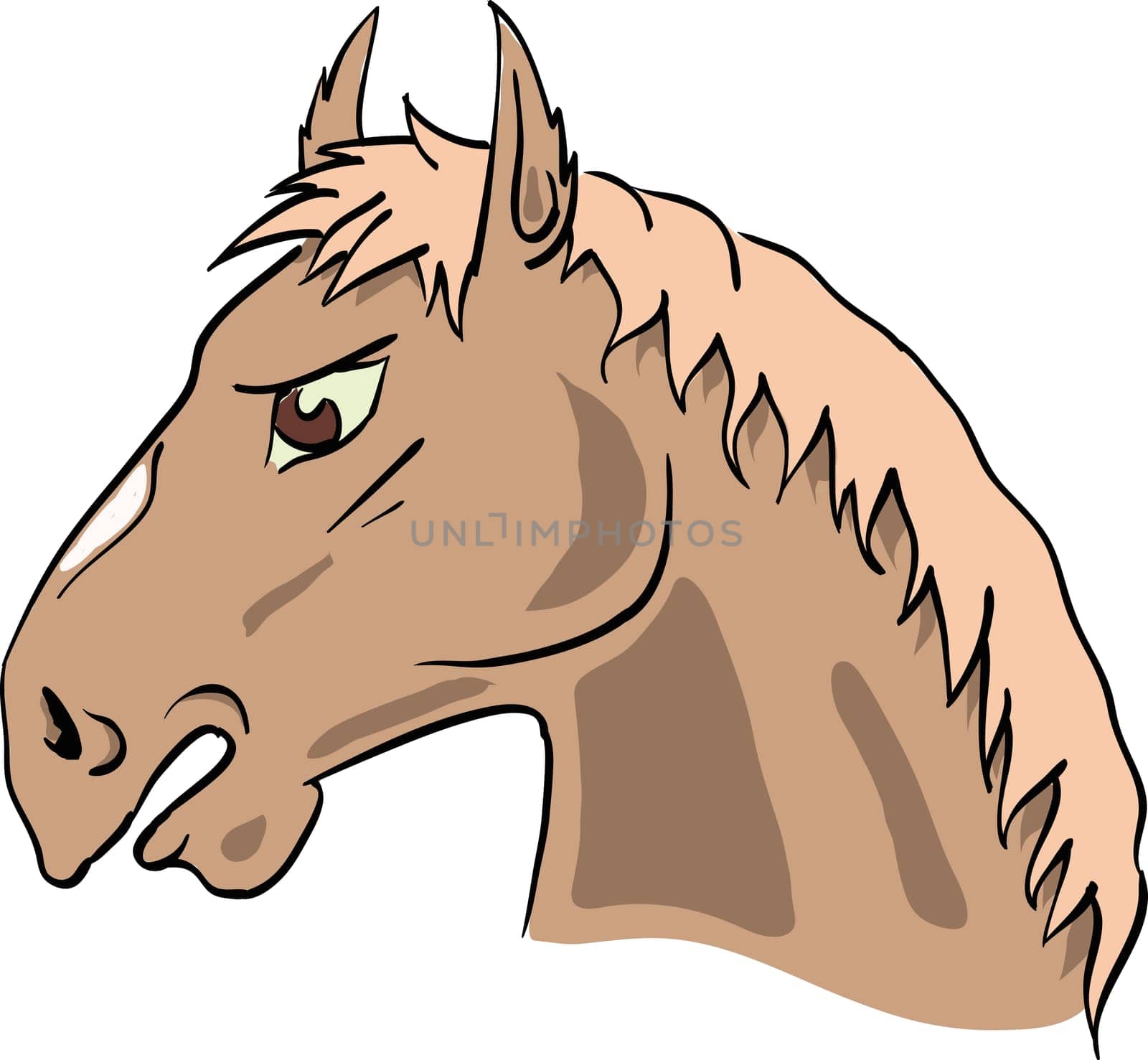 colorful illustration with horse's head for your design