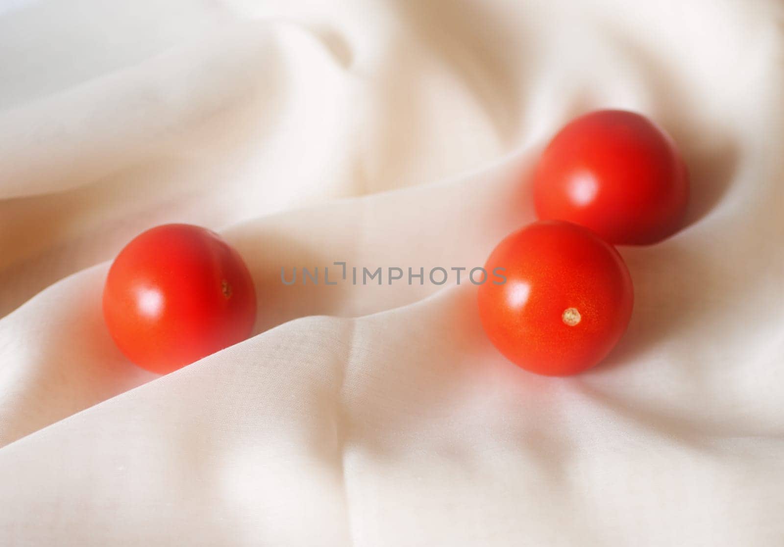 The photograph of tomatoes on a cloth.