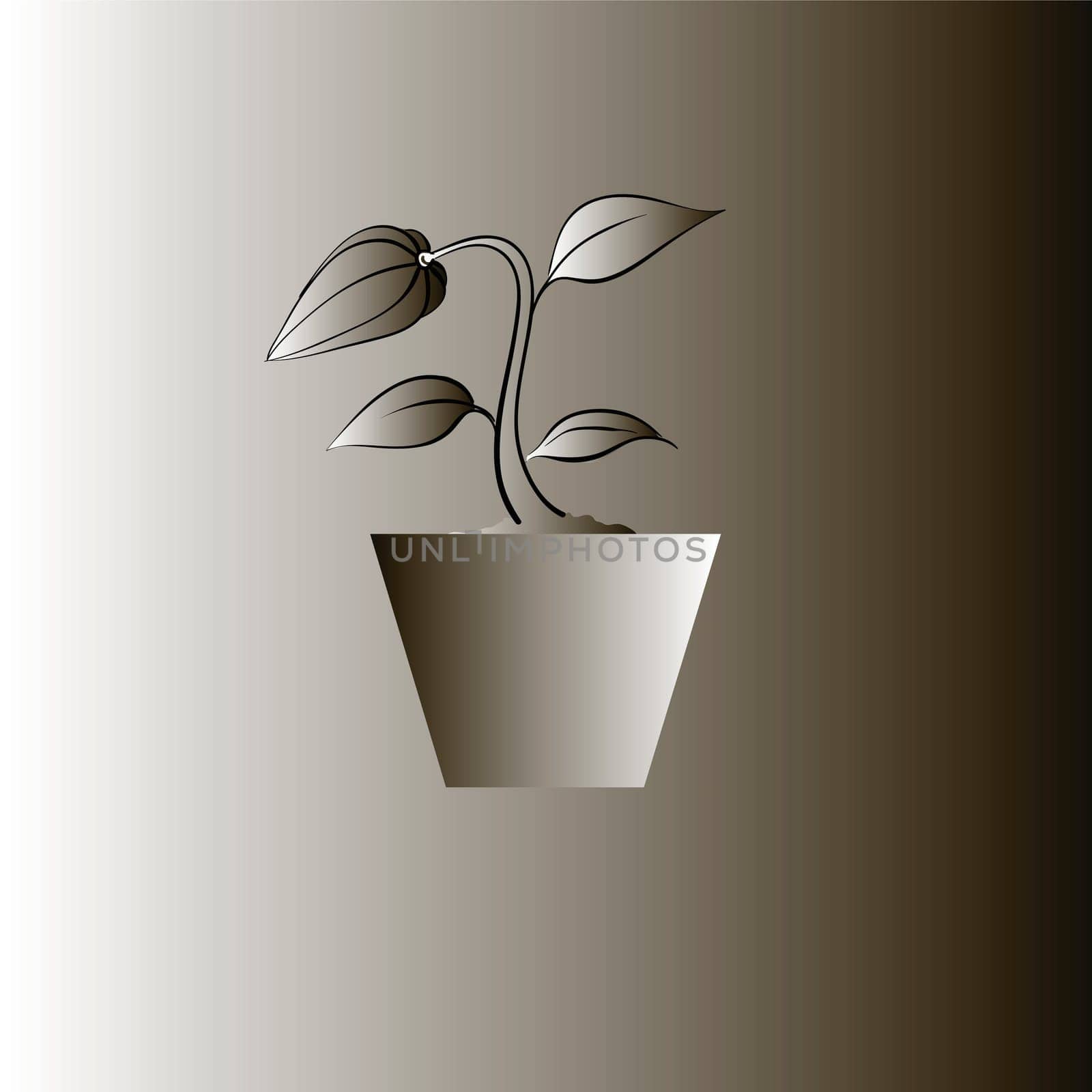 illustration with flower for your design