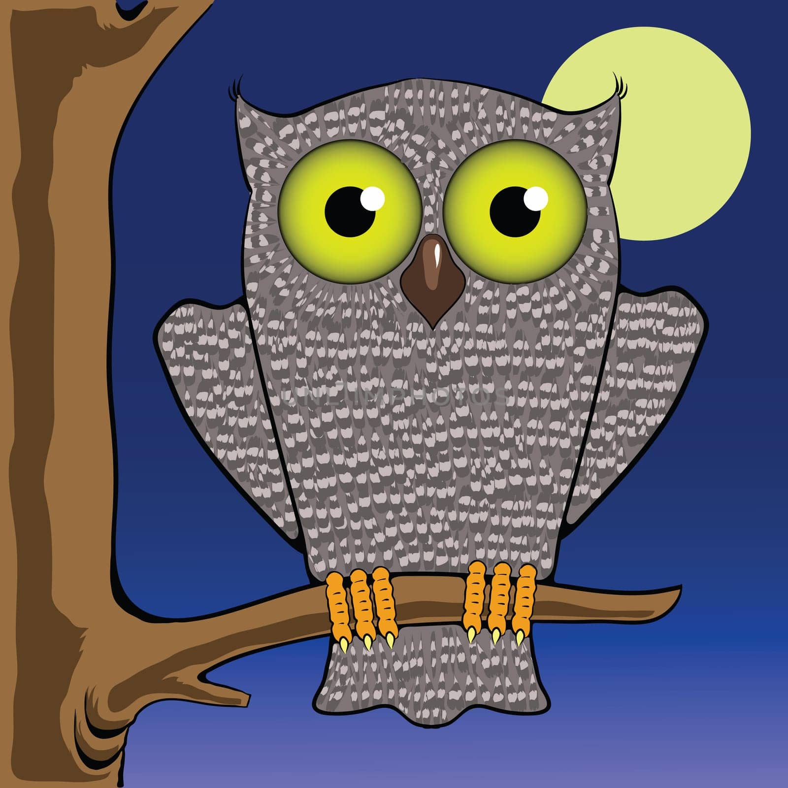 colorful illustration with owl and moon for your design