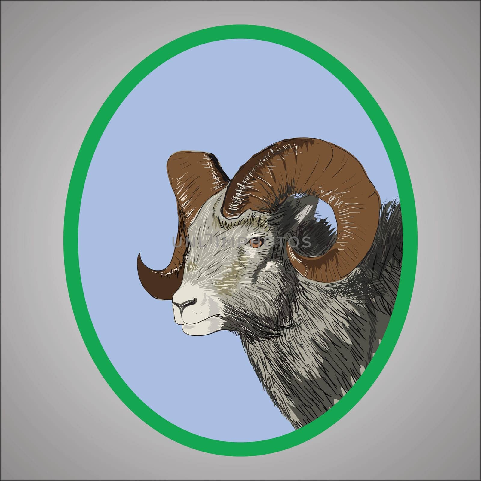 colorful illustration with ram for your design