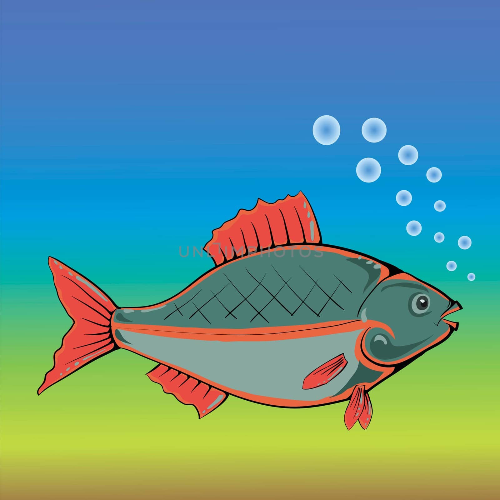 colorful illustration with fish for your design
