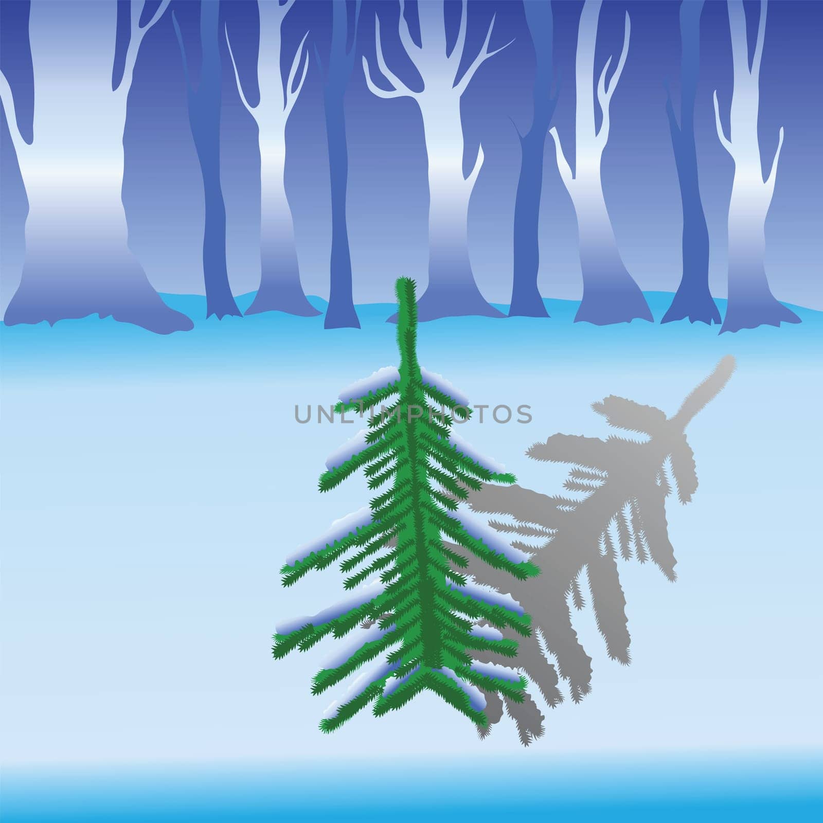 colorful illustration with fir for your design