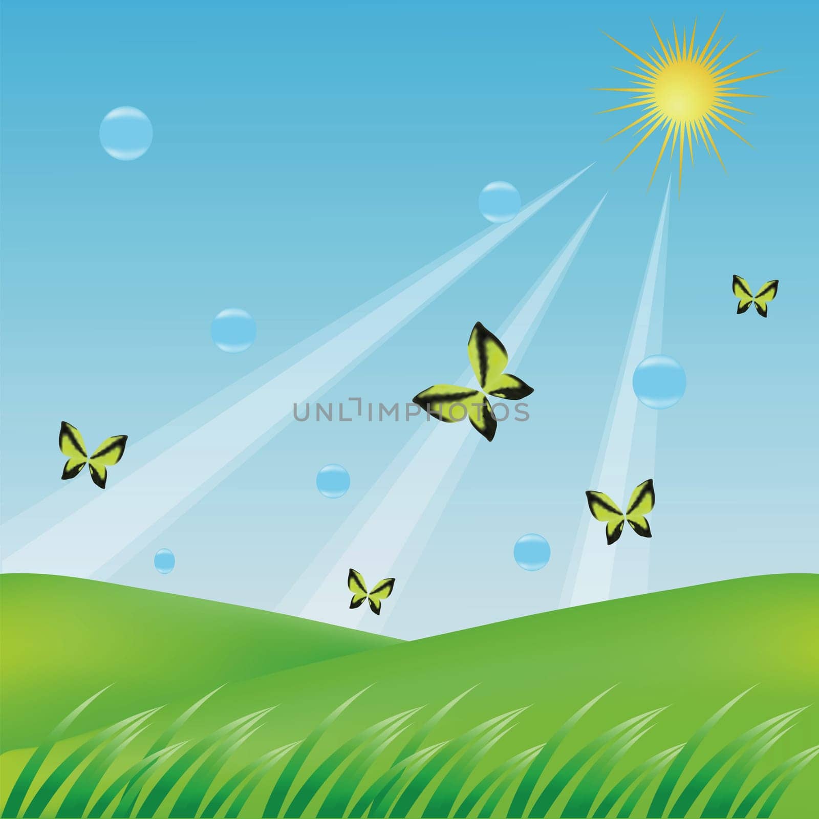 colorful illustration with butterflies  for your design