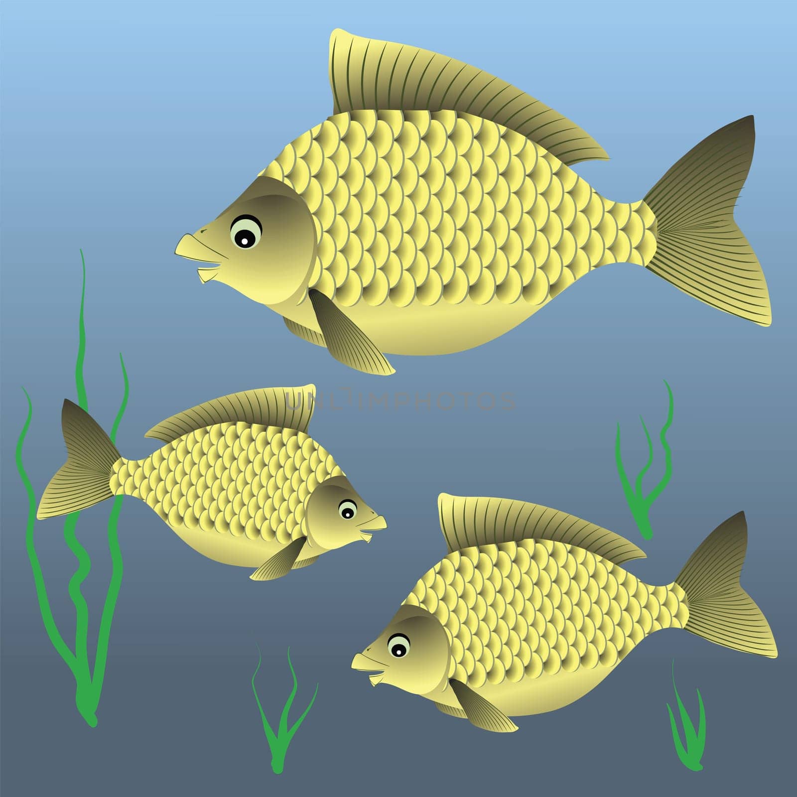 colorful illustration with fish for your design