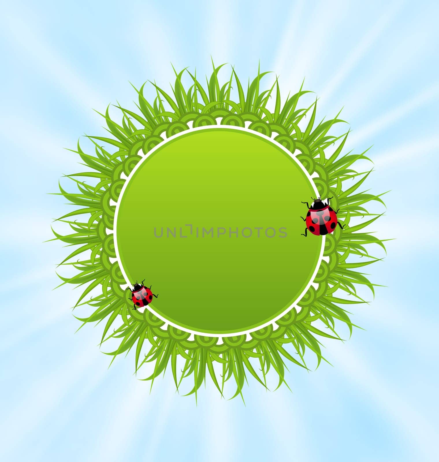 Illustration spring freshness card with grass and ladybugs - vector