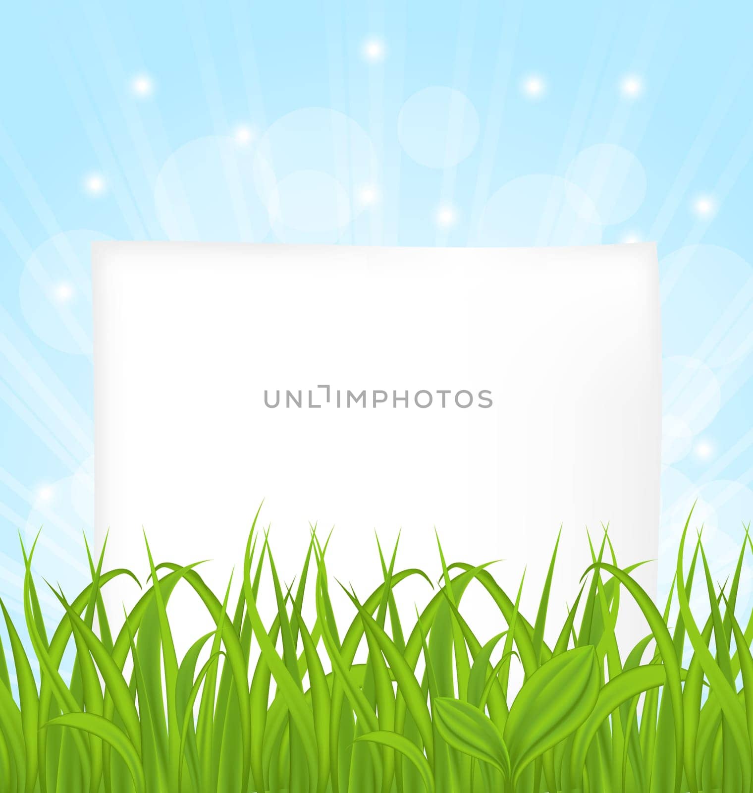 Illustration natural card with green grass and paper sheet - vector