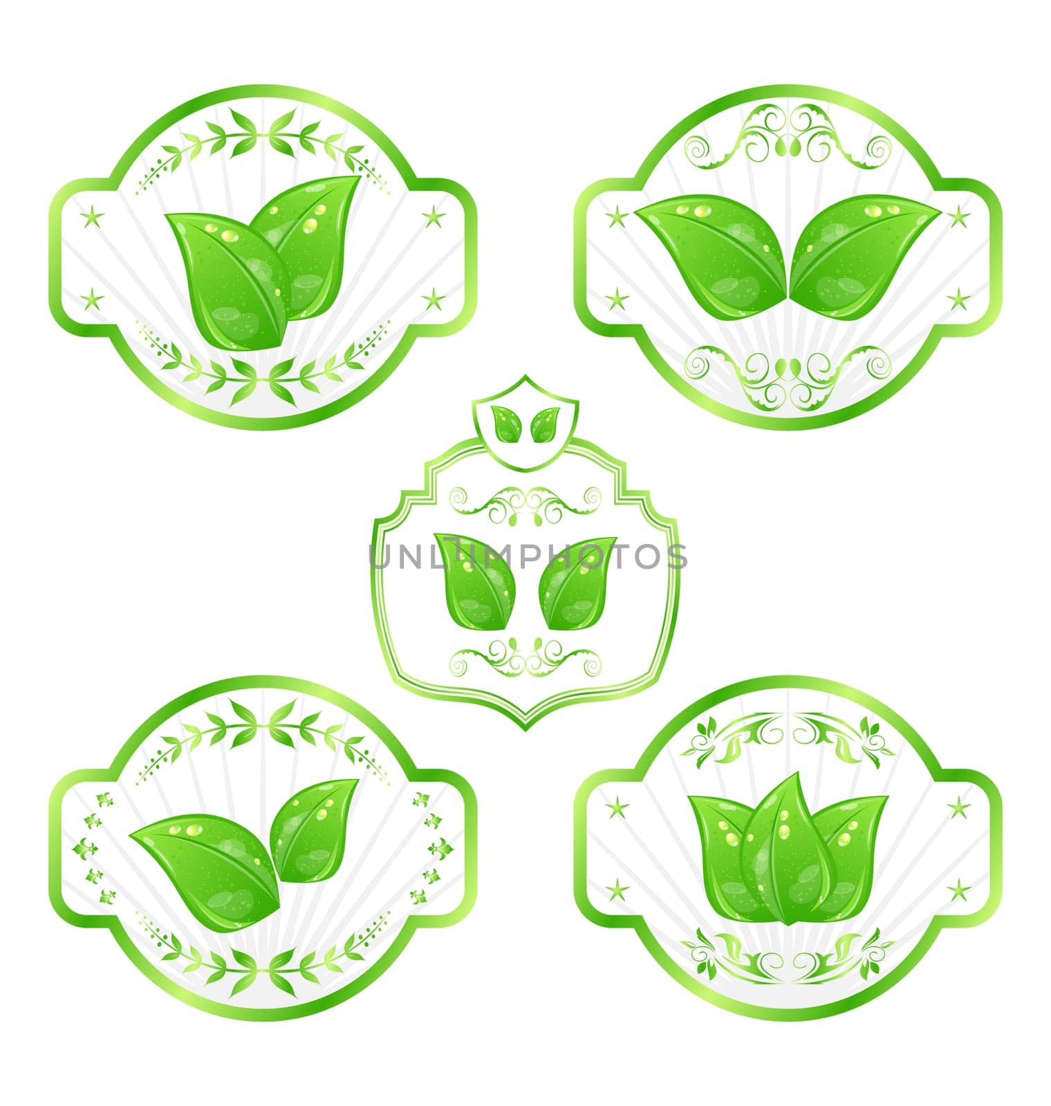 Illustration set of green ecological labels with leaves isolated on white background - vector