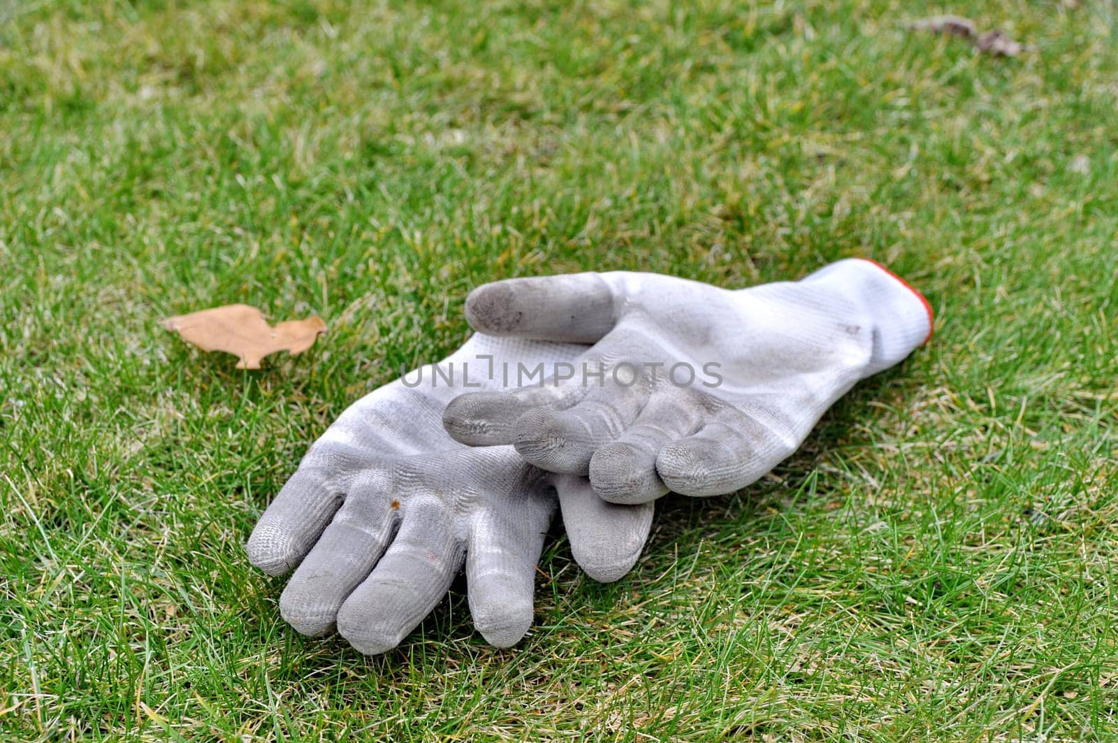 Dirty gardening gloves on the grass