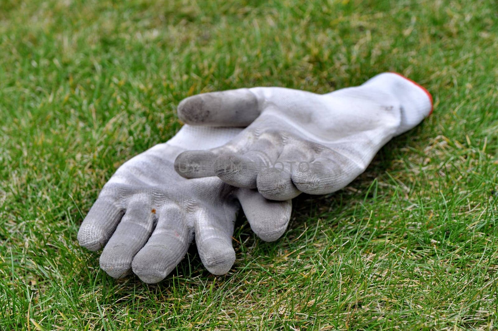 Dirty gardening gloves on the grass