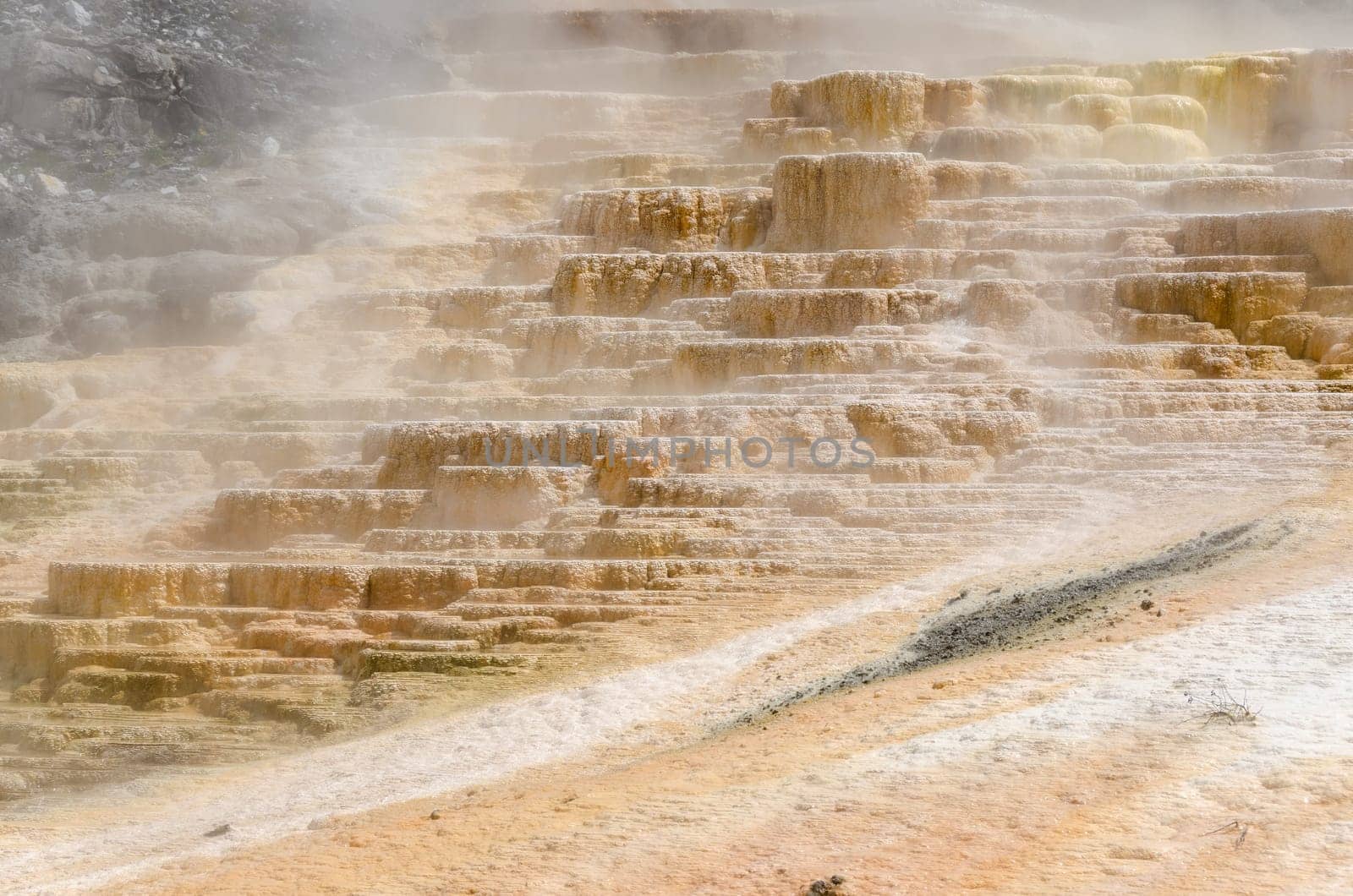 sulfur in Mammoth Hot Springs in Yellowstone National Park in Wyoming in the United States of America