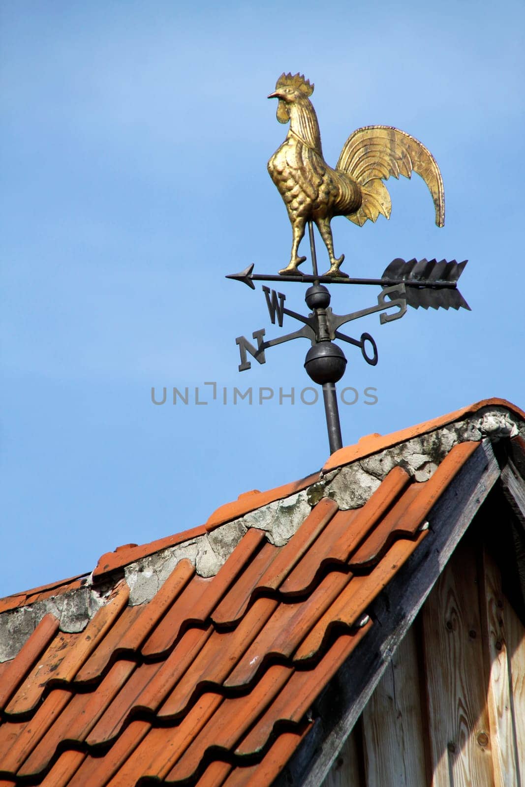 Golden Weathercock