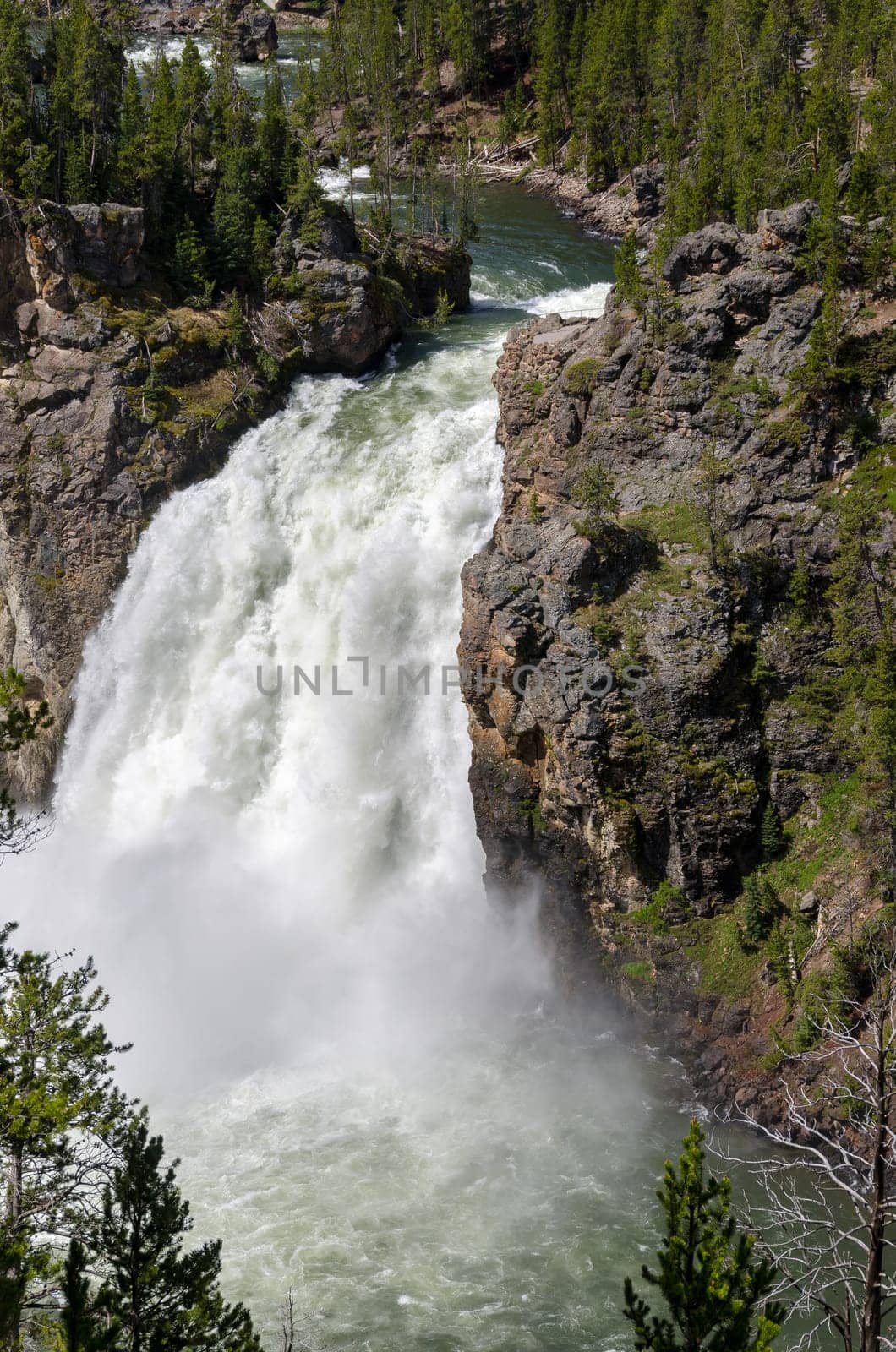Yellowstone Falls in Yellowstone National Park in Wyoming in the United States of America