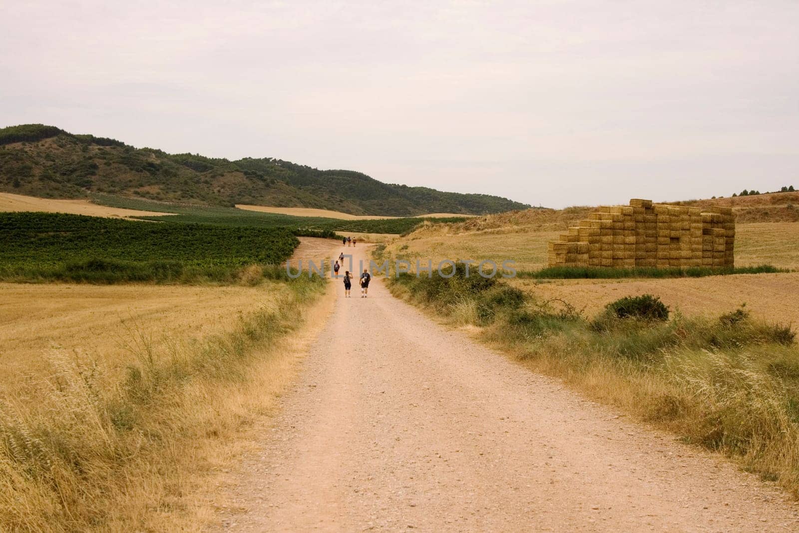 Pilgrims Way of St. James in the summer