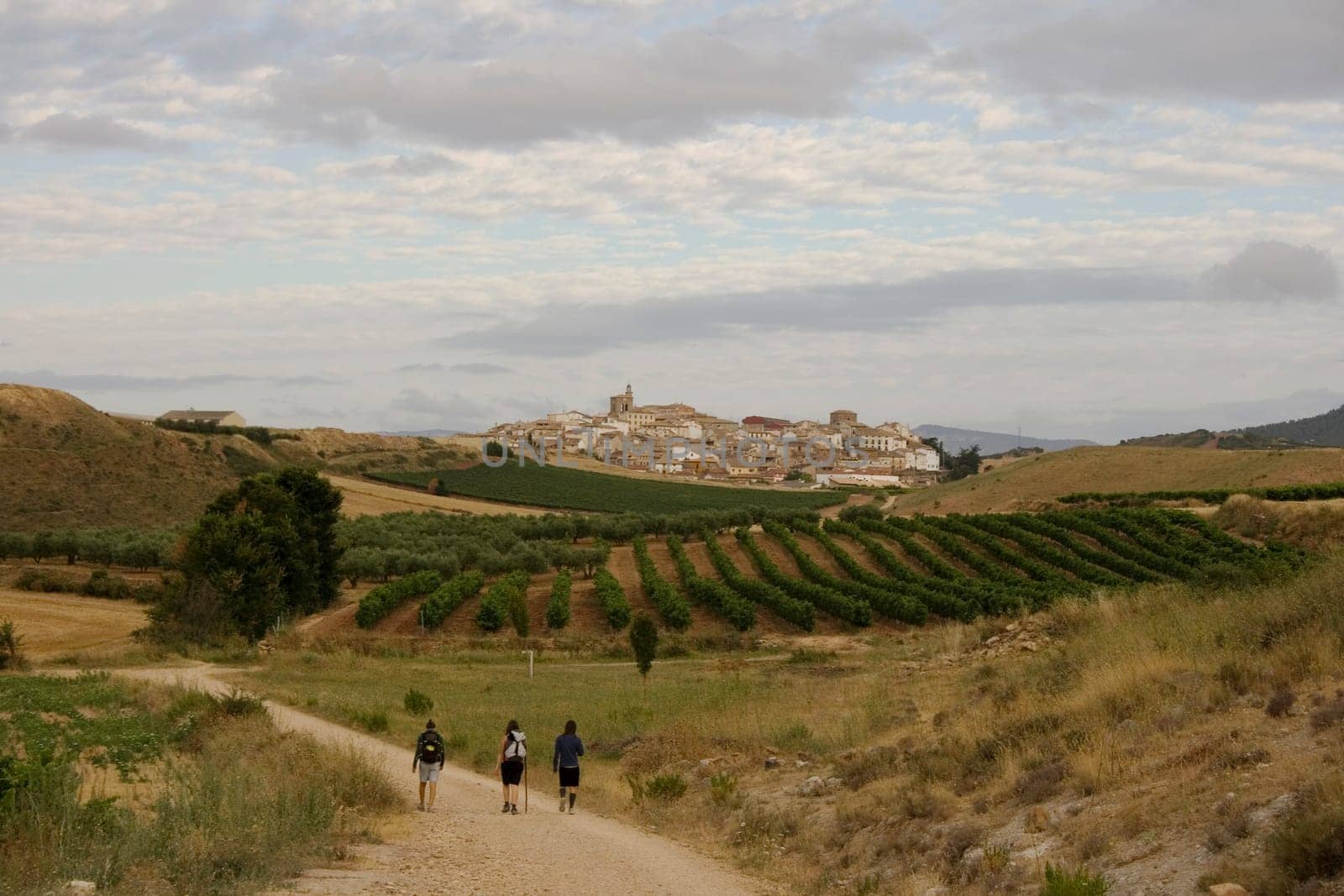 Pilgrims on the road, Way of St. James