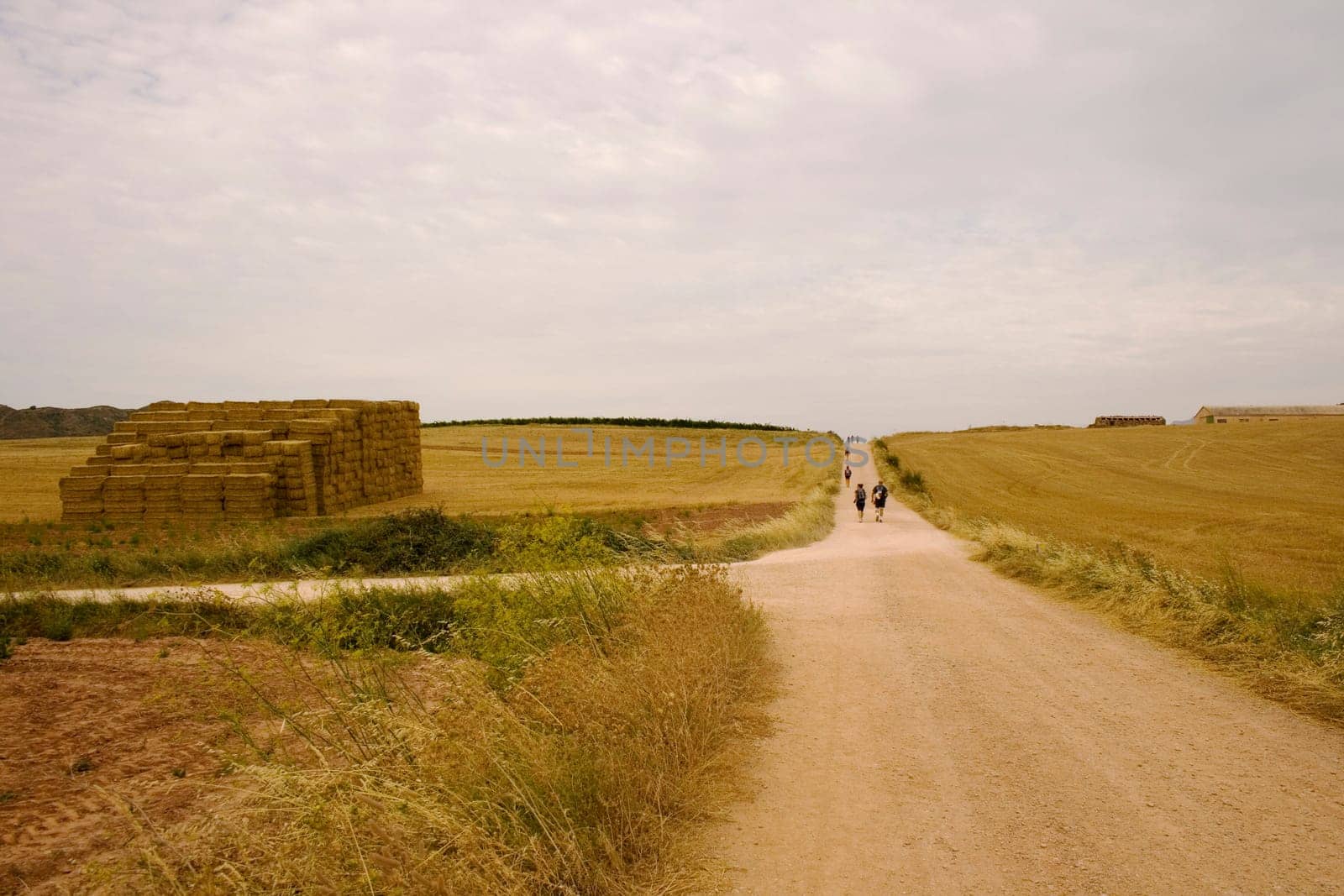 Pilgrims Way of St. James in the summer
