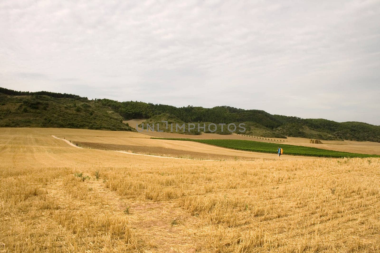 Pilgrims Way of St. James in the summer
