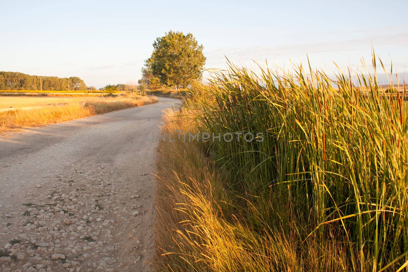 The Way of St. James