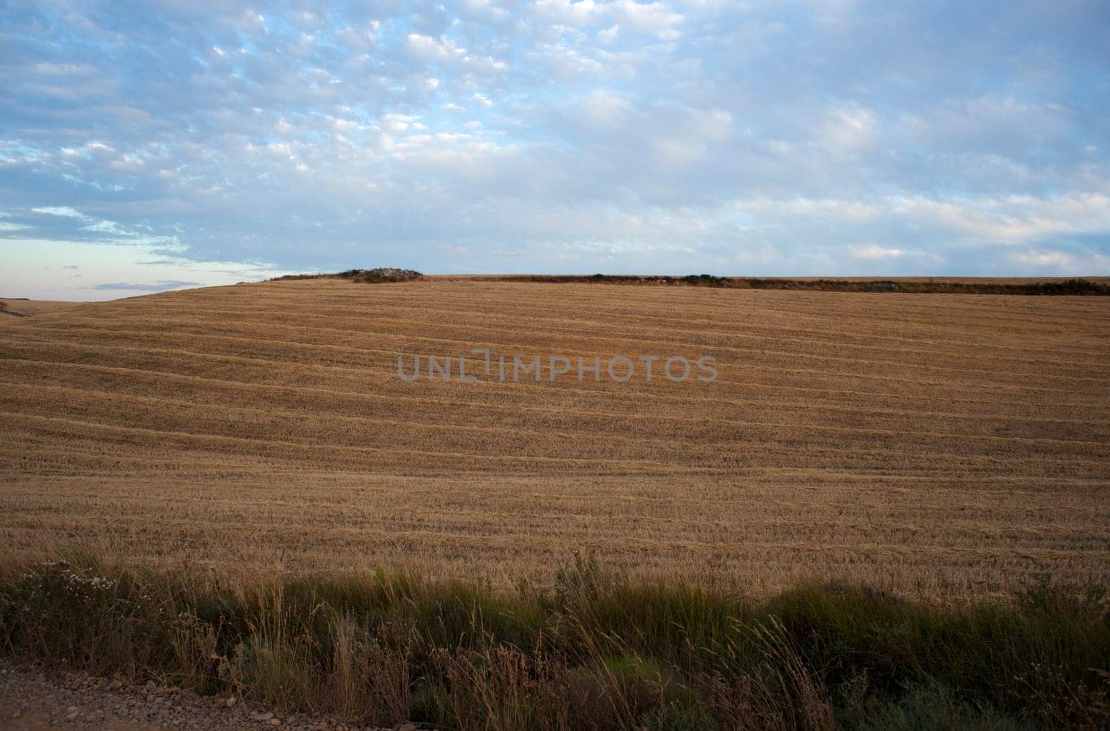 Rural scene in the spanish countryside