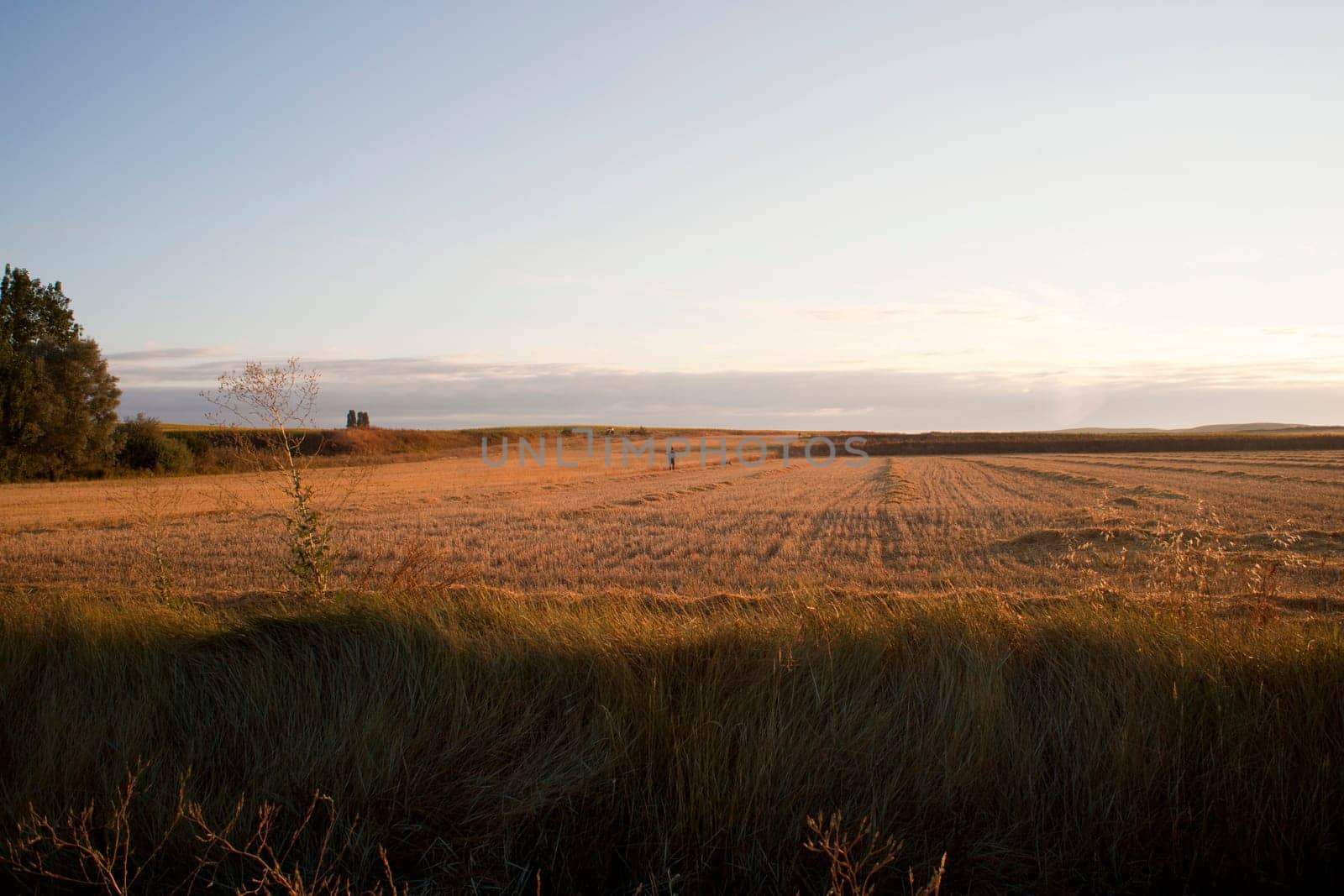 Field in the Spanish countryside