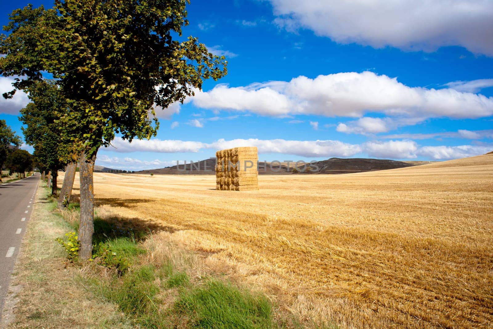 View of Spanish countryside in the summer