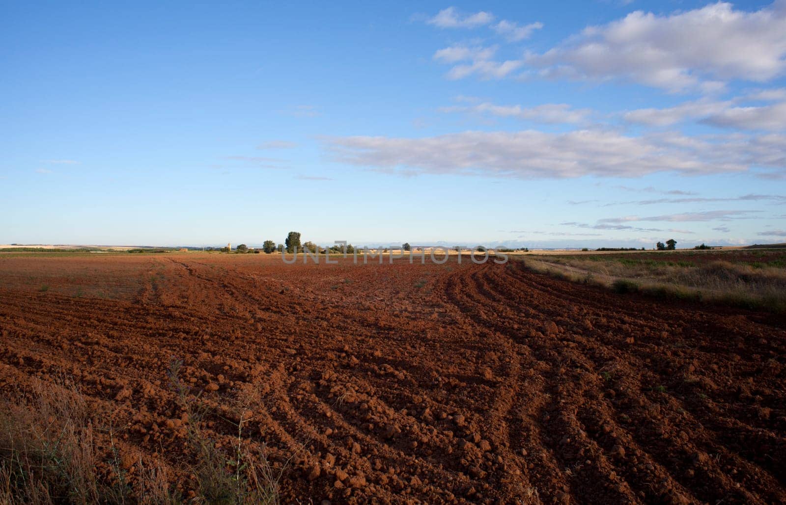 Photo of plowed field in the summer