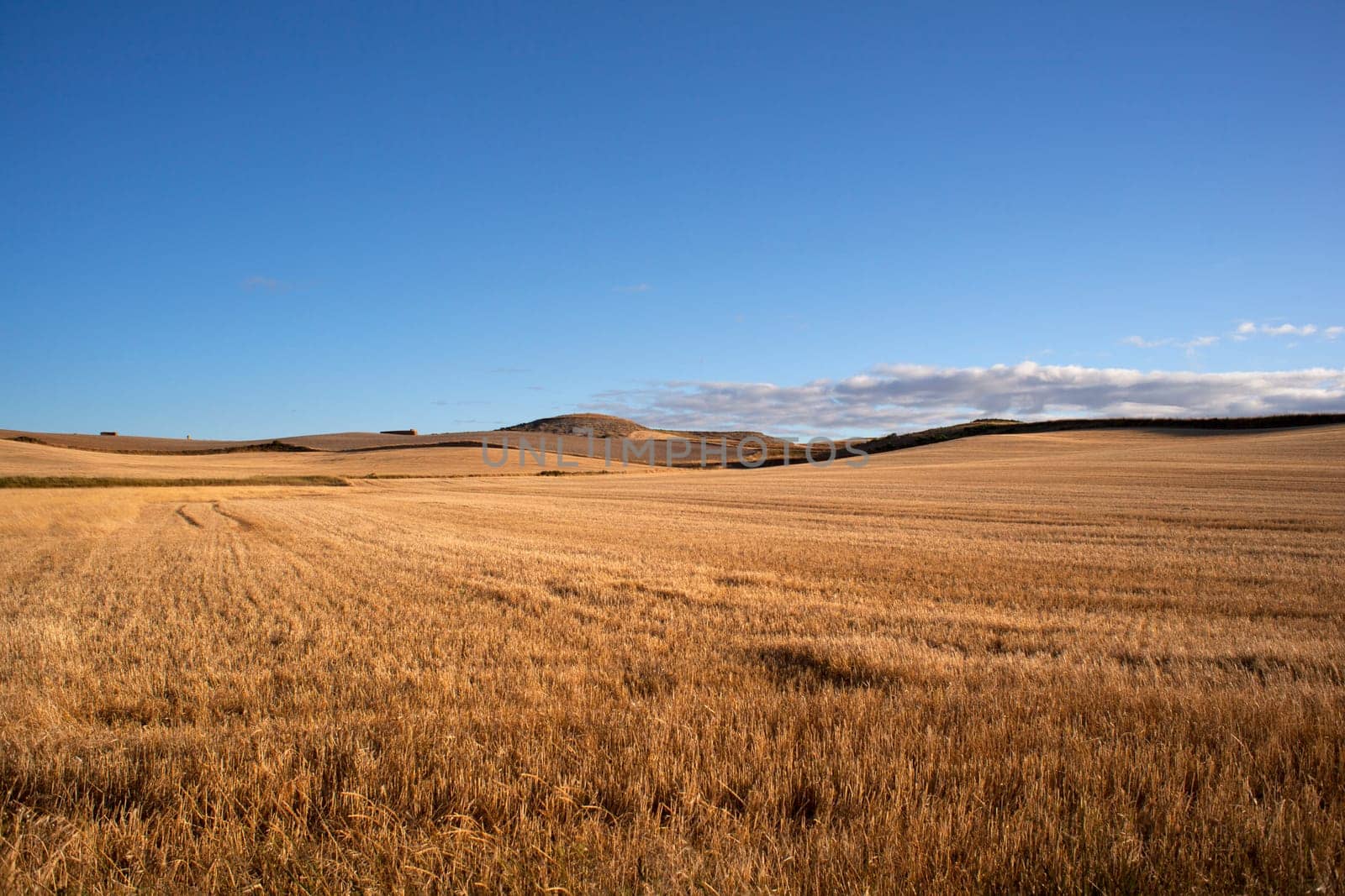 View of Spanish countryside in the summer