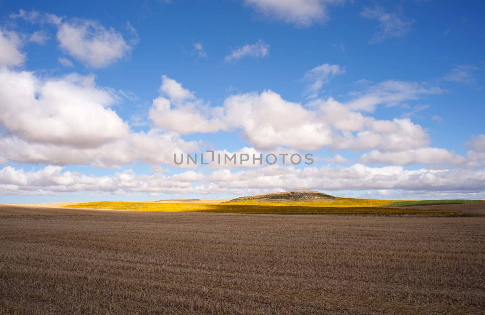 View of Spanish countryside in the summer