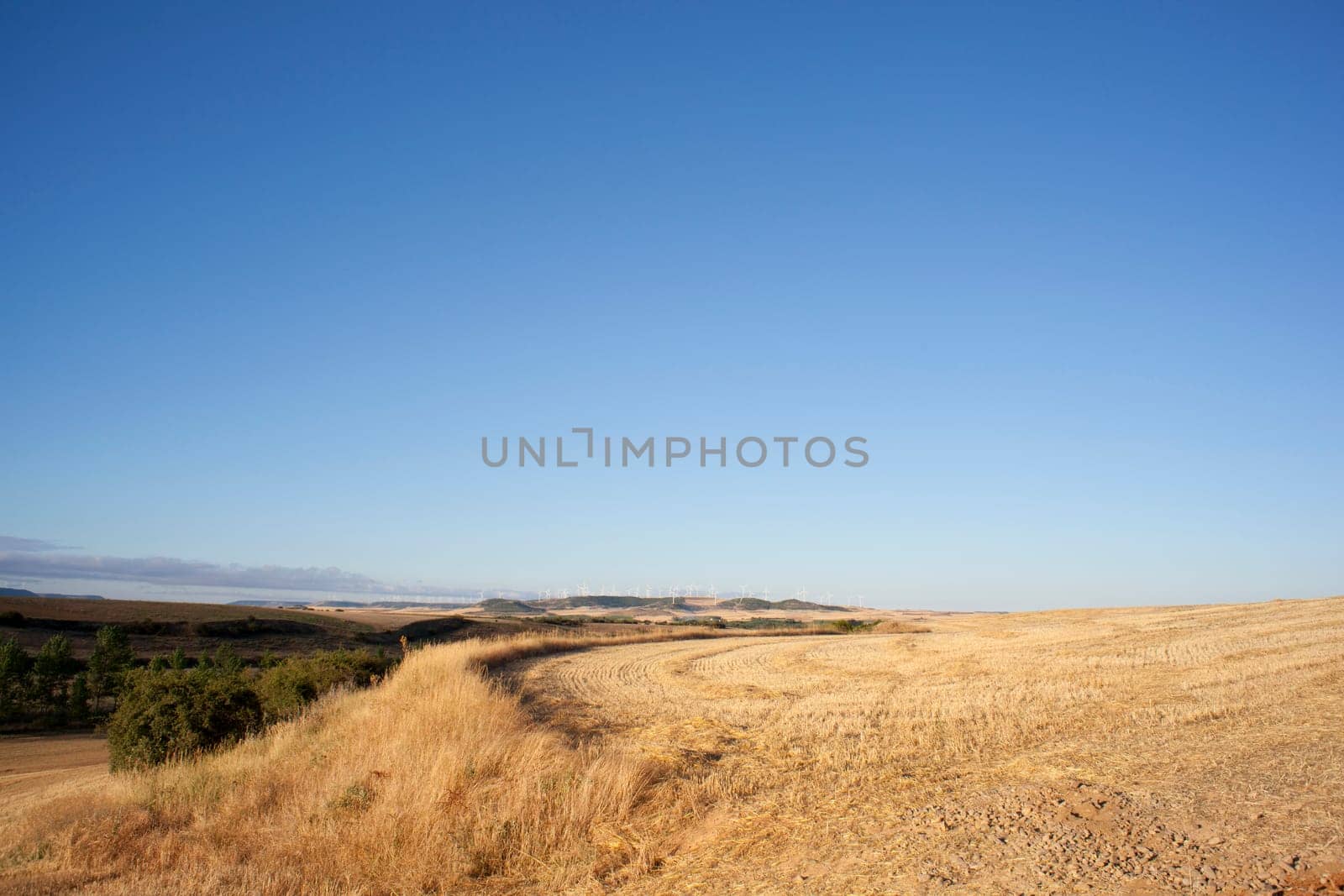 View of Spanish countryside in the summer