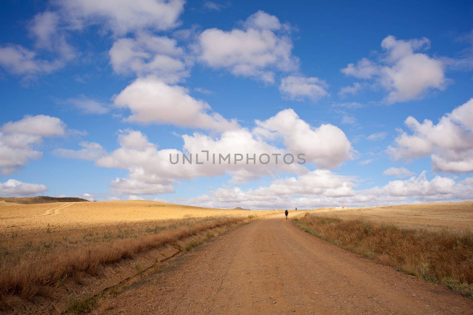 Pilgrims in the countryside, Way of St. James