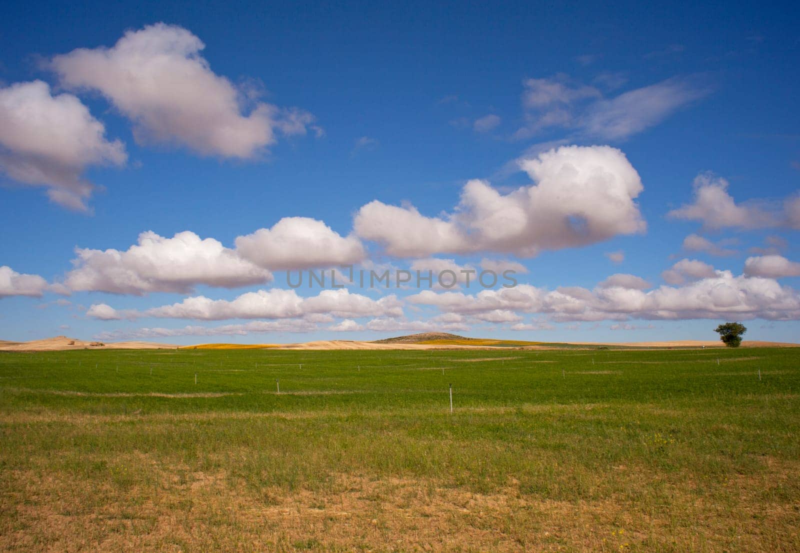 View of Spanish countryside in the summer