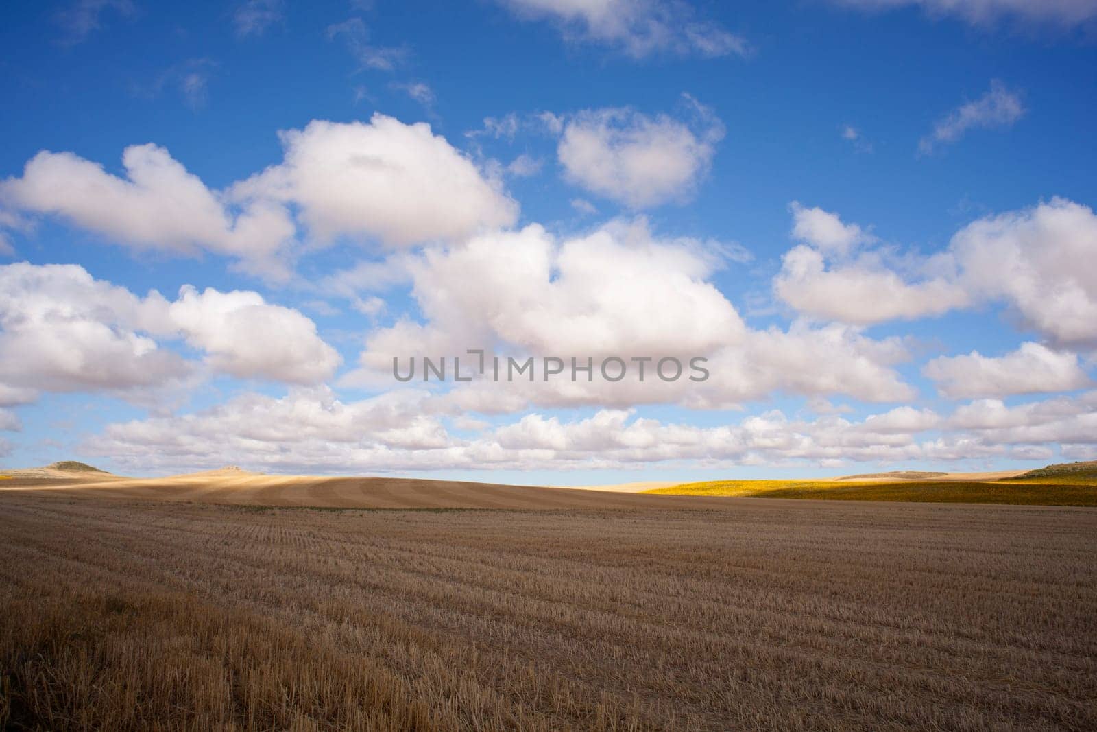 View of Spanish countryside in the summer
