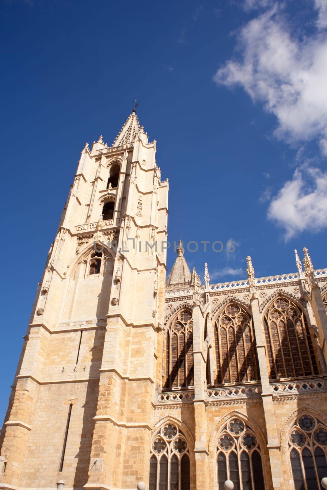 View of the Leons's cathedral, Spain
