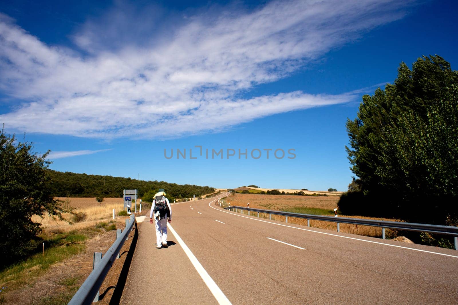 Pilgrim on the Road, Way of St. James