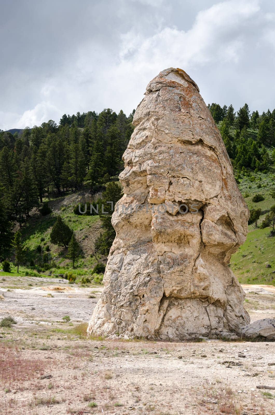 pinnacle of rock at Mammoth Hot Springs in Yellowstone National Park in Wyoming in the United States of America